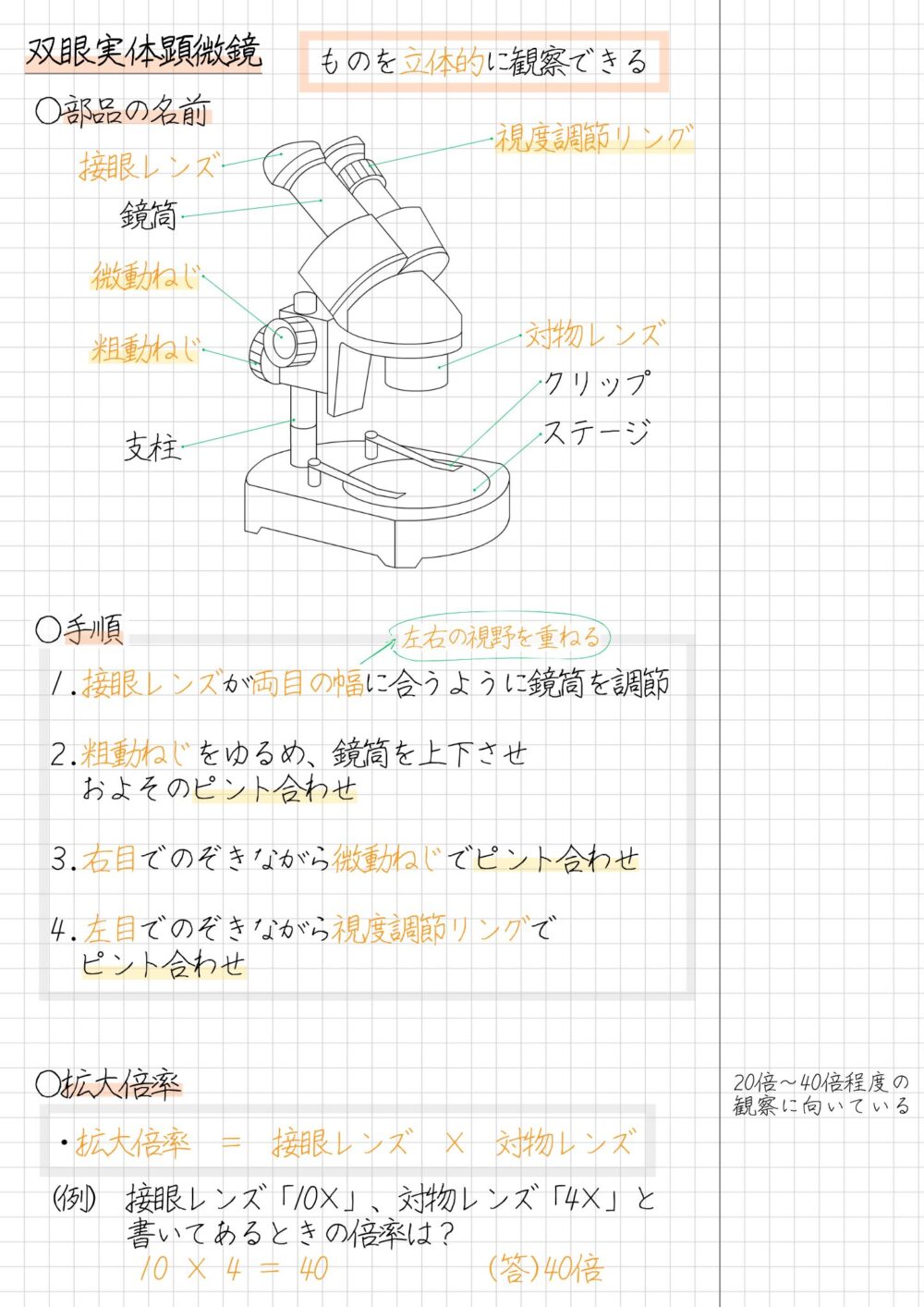 双眼実体顕微鏡には、次のようなポイントがあります。 片目で見る顕微鏡よりも倍率の低いものを観察するときにつかう 主に20倍～40倍程度のものを観察する ものを立体的に観察できる 双眼実体顕微鏡のつかい方の「まとめノート」の例は、次のとおりです。 必ず自分でノートに書いて、赤シートでかくして、音読しながら学習しましょう。 双眼実体顕微鏡の部品の名前 双眼実体顕微鏡の主な部品名は、次のとおりです。 接眼レンズ 対物レンズ 粗動ねじ 微動ねじ 視度調節リング 鏡筒 双眼実体顕微鏡の部品のうち、次の3つはピントを合わせるときにつかいます。 ピントを合わせる部品 粗動ねじ 微動ねじ 視度調節リング ステージにも種類があり、観察物によってつかい分けることがあります。 白いステージ 黒いステージ ガラスのステージ 双眼実体顕微鏡の操作の手順 双眼実体顕微鏡で物体を観察する手順は、次のとおりです。 双眼実体顕微鏡の観察手順 接眼レンズが両目の幅に合うように鏡筒を調節する。※視野を重ねる 粗動ねじをゆるめ、鏡筒を上下させ、おおよそのピントを合わせる 右目でのぞきながら微動ねじでピントを合わせる 左目でのぞきながら視度調節リングでピントを合わせる 双眼実体顕微鏡の拡大倍率 理科室でよくつかう双眼実体顕微鏡の拡大倍率は、およそ20倍～40倍程度です。 なお、双眼実体顕微鏡の拡大倍率は次のように計算できます。 拡大倍率　=　接眼レンズ　×　対物レンズ 例えば、接眼レンズに「10倍」、対物レンズに「4倍」と書いてあるとき、顕微鏡の拡大倍率は次のように計算できます。 10　×　4　=　40 （答え）　40倍