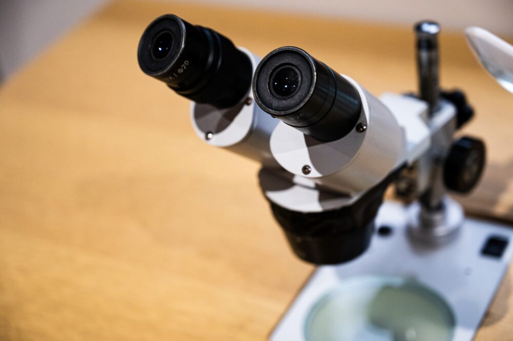 双眼実体顕微鏡