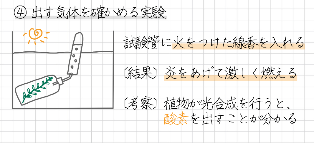 水草を用いて、光合成のはたらきを確かめる実験の手順は、次のとおりです。 〔手順〕 1. 水槽に水を入れ、ペットボトルと試験管を水で満たしておく 2. 水で満たしたペットボトルに水草を入れる 3. 穴をあけたフタにゴム管を通し、水で満たした試験管にゴム管のもう一方の端を入れる【水上置換法】 4. 水草に日光が当たるようにする 試験管に気体が集まったら、水槽からとり出し、試験管に火をつけた線香を入れる 5. この実験の結果と考察は、次のとおりです。 〔結果〕 線香は炎をあげて激しく燃える 〔考察〕 植物が光合成を行うと、酸素を出す