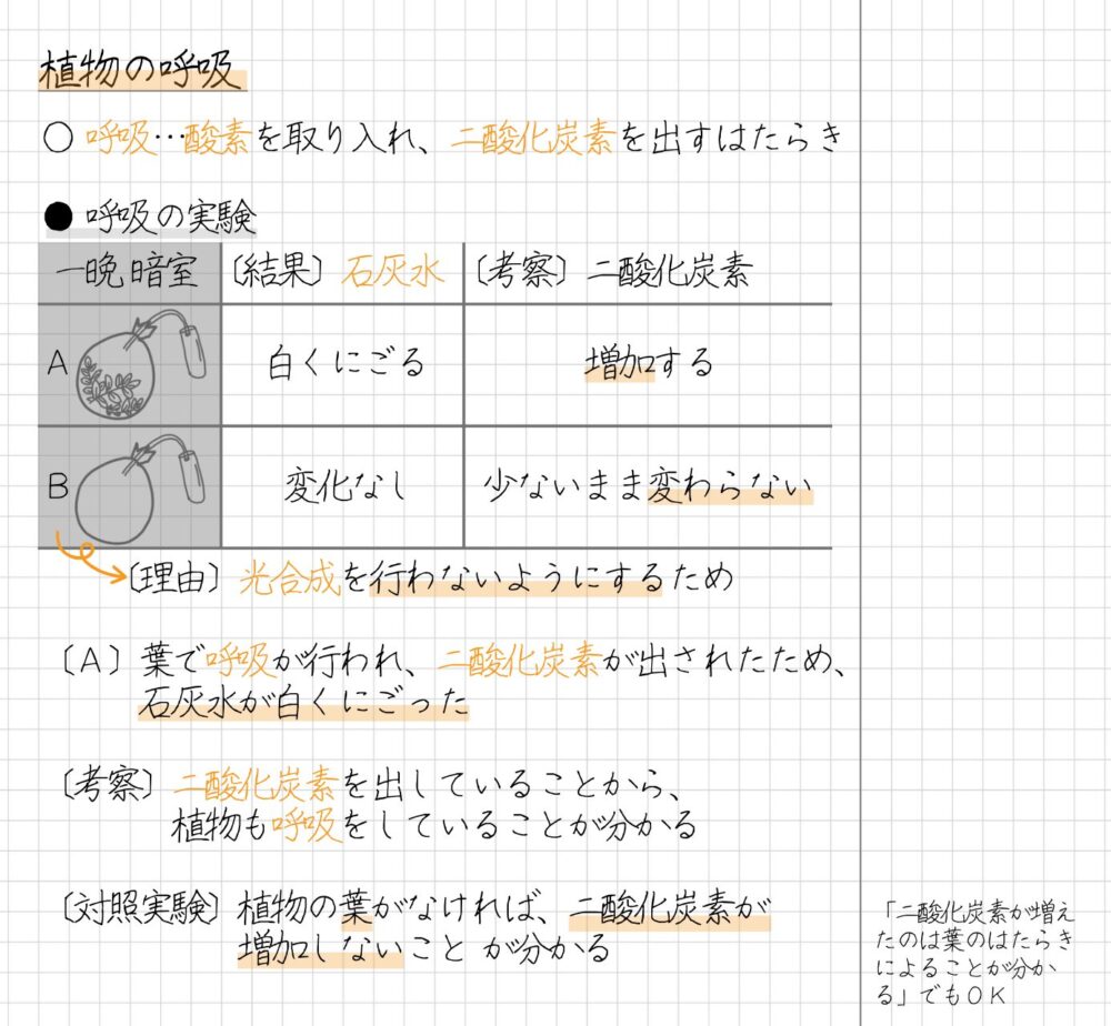 植物の葉を用いて、光合成のはたらきを確かめる実験 【実験手順】 1. 袋Aに葉を入れ、暗室に置く。 2. 袋Bに葉を入れずに、暗室に置く。 3. 袋Ａと袋Ｂは、ゴム管を通した後、口をしばり、ゴム管のもう一方の端を試験管に入れておく【下方置換法】 4. 試験管Aと試験管Bに石灰水を入れ、よく振る ※袋Ａと袋Ｂを暗室に置いた理由は、光合成を行わないようにするため。 〔結果〕 ・葉を入れた試験管Aは、石灰水が白くにごった ・葉を入れなかった試験管Bは、石灰水に変化がなかった 〔考察〕 試験管Aの結果から分かることは次のとおりです。 ▶葉で呼吸が行われ、二酸化炭素が出されたため、石灰水が白くにごった 試験管Bの結果から分かることは次のとおりです。 ▶二酸化炭素の量を変化させる条件がなかったため、石灰水に変化がなかった この実験における総合的な考察としては、次のことが分かります。 ▶葉を入れた袋の二酸化炭素量が増えていることから、植物は呼吸をしている なお、対照実験をしたことで言えることは、次のとおりです。 ▶植物の葉がなければ、二酸化炭素が増加しない ※「二酸化炭素が増えたのは葉のはたらきによることが分かる」でもＯＫ