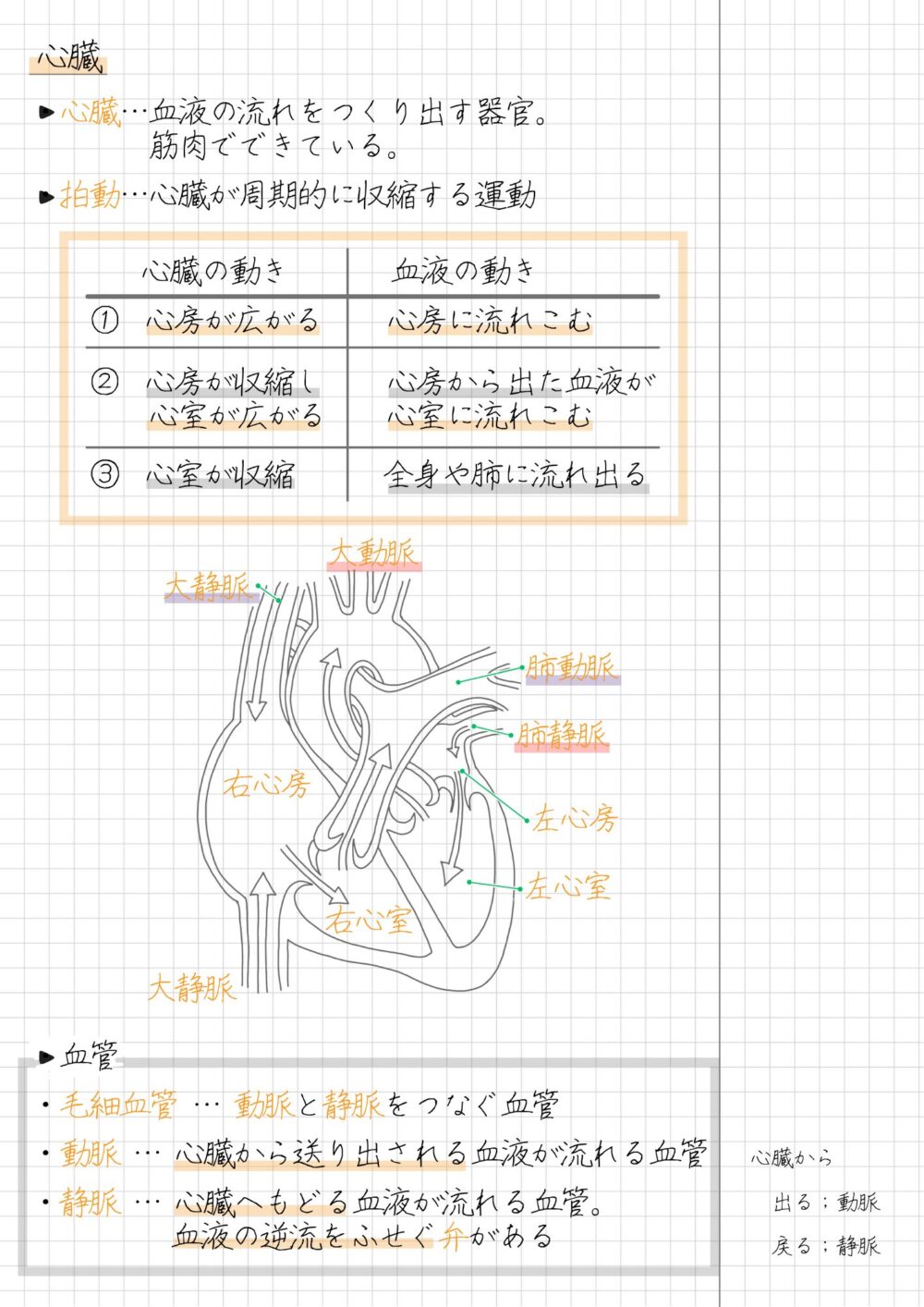拍動と心臓の各部屋のまとめノート ・拍動 ・右心室と右心房 ・左心室と左心房 血管の種類 ・動脈 ・静脈 ・毛細血管