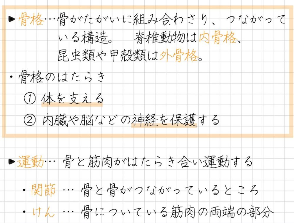 骨格と運動