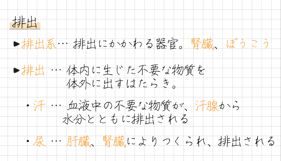 排出系… 排出にかかわる器官。腎臓、ぼうこう ・排出 … 体内に生じた不要な物質を体外に出すはたらき。 ・汗 … 血液中の不要な物質が、汗腺から 水分とともに排出される ・尿 … 肝臓、腎臓によりつくられ、排出される