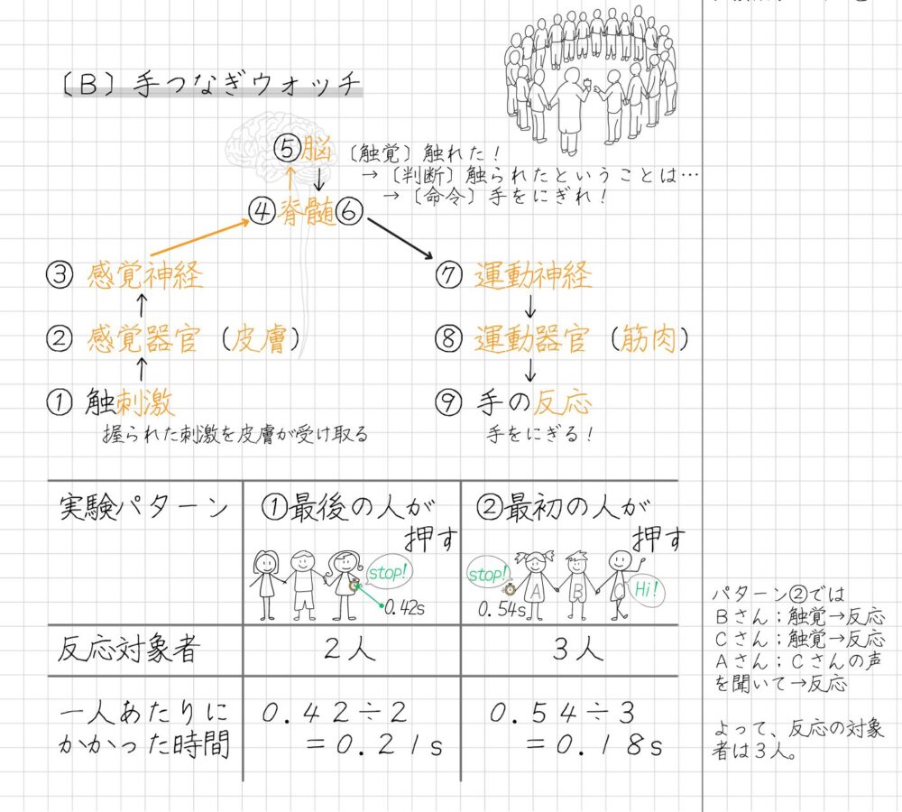 手をつなぐ実験