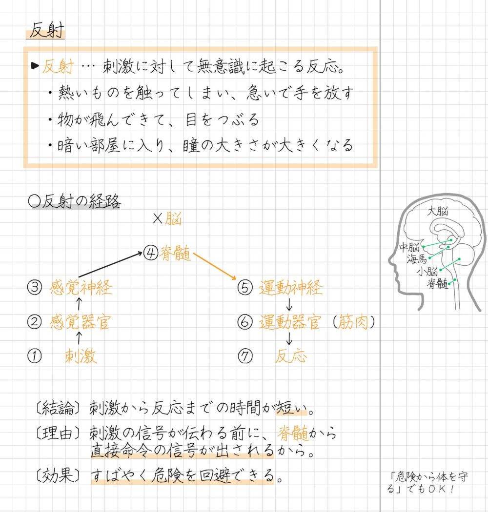 反射と反応