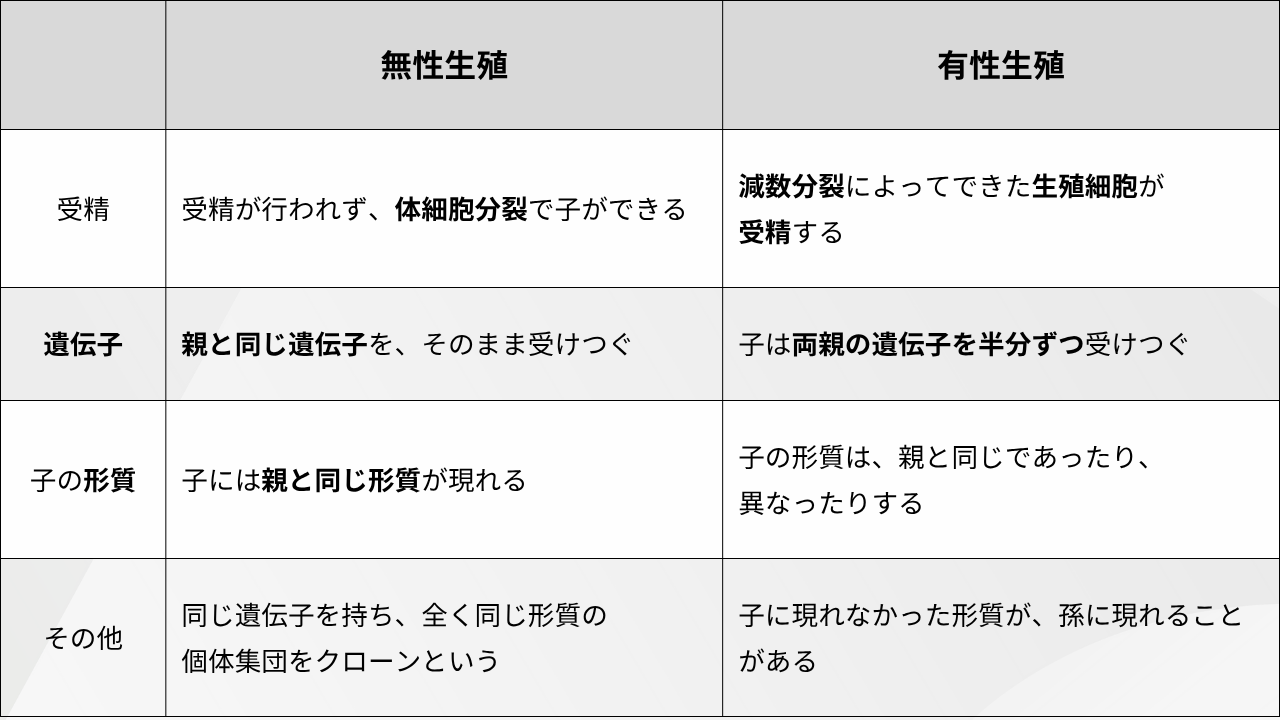  無性生殖 有性生殖 受精 受精が行われず、体細胞分裂で子ができる "減数分裂によってできた生殖細胞が 受精する" 遺伝子 親と同じ遺伝子を、そのまま受けつぐ 子は両親の遺伝子を半分ずつ受けつぐ 子の形質 子には親と同じ形質が現れる "子の形質は、親と同じであったり、 異なったりする" その他 "同じ遺伝子を持ち、全く同じ形質の 個体集団をクローンという" 子に現れなかった形質が、孫に現れることがある