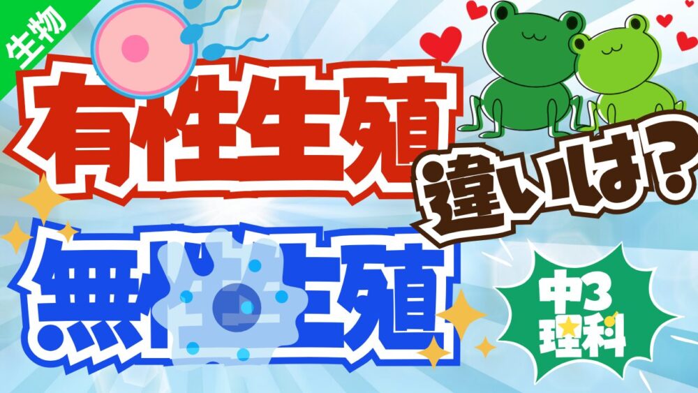 【中3理科】有性生殖と無性生殖を徹底解説｜受精の流れを分かりやすく！