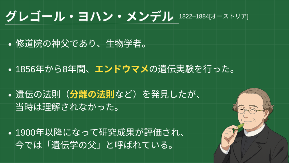 グレゴール・ヨハン・メンデル 1822–1884[オーストリア] 修道院の神父であり、生物学者。 1856年から8年間、エンドウマメの遺伝実験を行った。 遺伝の法則（分離の法則など）を発見したが、 当時は理解されなかった。 1900年以降になって研究成果が評価され、 今では「遺伝学の父」と呼ばれている。