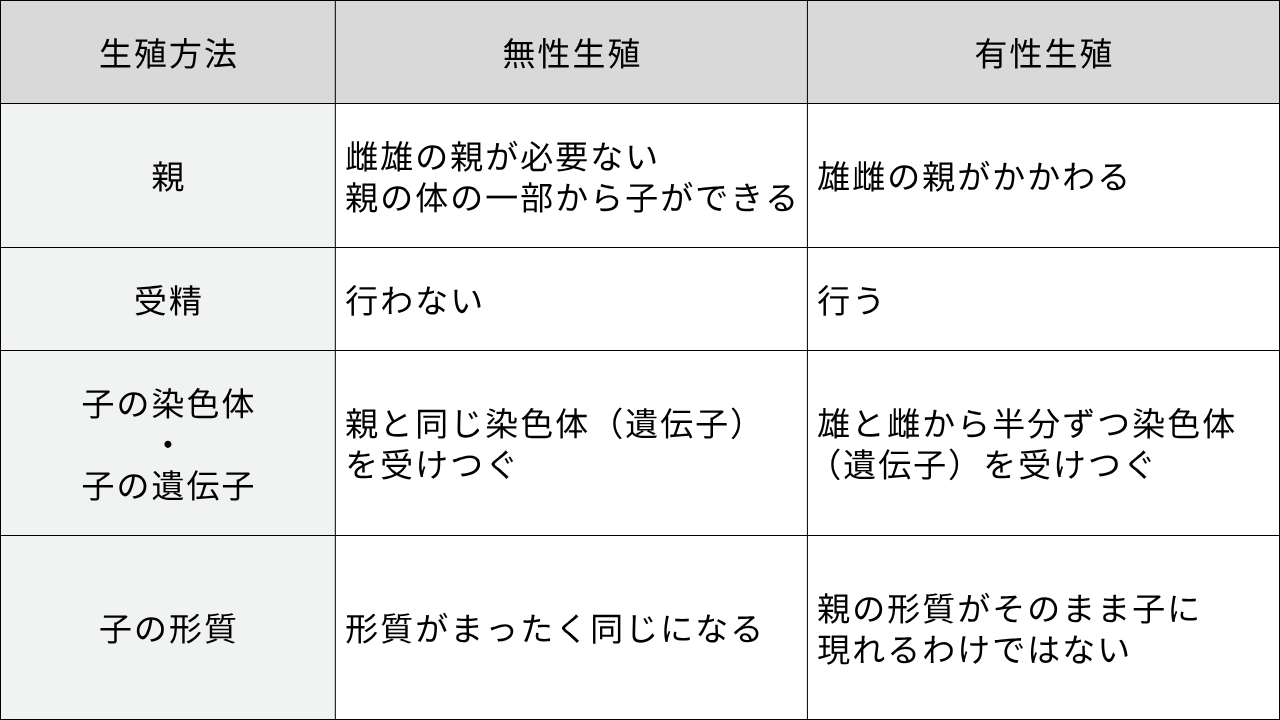 生殖方法 無性生殖 有性生殖 親 " 雌雄の親が必要ない 親の体の一部から子ができる" 雄雌の親がかかわる 受精 行わない 行う "子の染色体 ・ 子の遺伝子" " 親と同じ染色体（遺伝子） を受けつぐ" 雄と雌から半分ずつ染色体（遺伝子）を受けつぐ 子の形質 形質がまったく同じになる " 親の形質がそのまま子に 現れるわけではない"