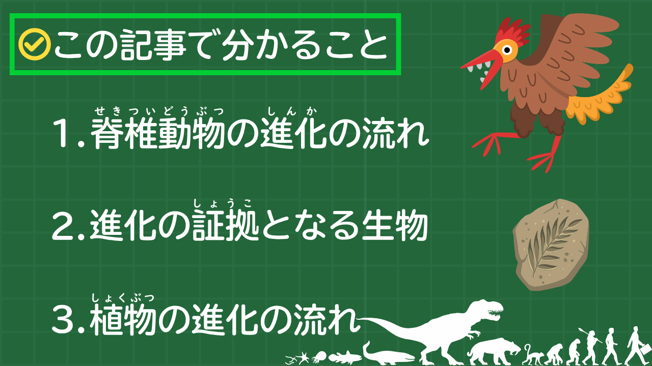 この記事で分かること 1. 脊椎動物の進化の流れ 2. 進化の証拠となる生物 3. 植物の進化の流れ
