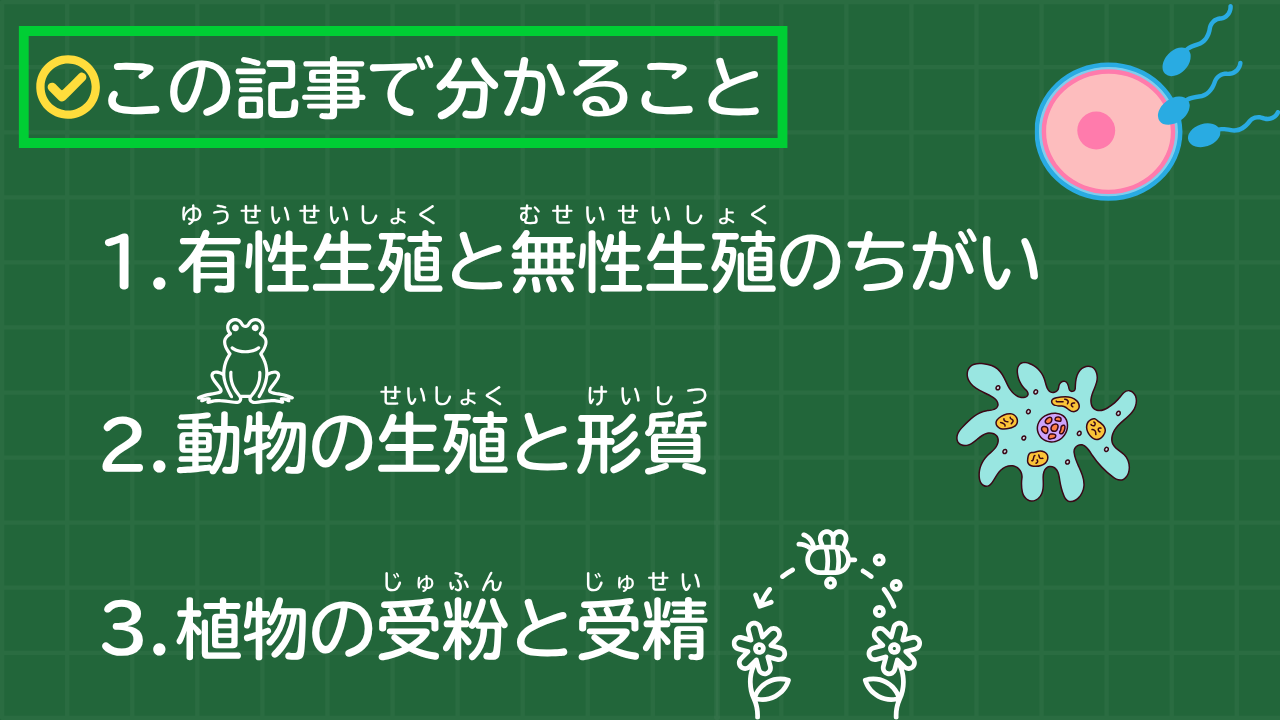 この記事で分かること 1. 有性生殖と無性生殖のちがい 2. 動物の生殖と形質 3. 植物の受粉と受精
