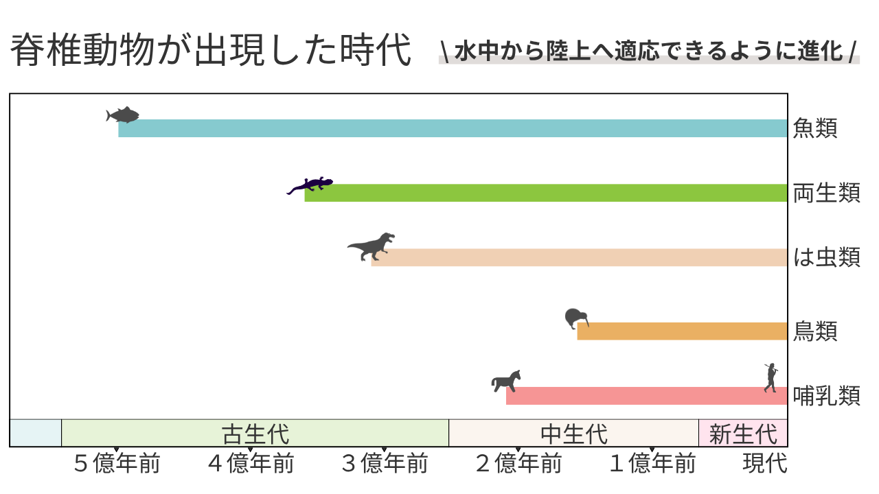 \ 水中から陸上へ適応できるように進化 / 脊椎動物が出現した時代 魚類 → 両生類 → は虫類 → 哺乳類・鳥類
