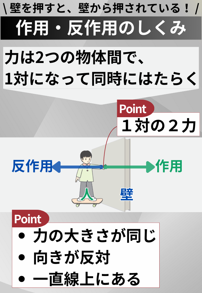 \ 壁を押すと、壁から押されている！ / 【作用・反作用のしくみ】 力はいつも2つの物体間で、1対になって同時にはたらく point 1対の2力 力が作用すれば、必ず大きさが等しく、向きが反対で一直線上にある反作用の力がはたらく 
