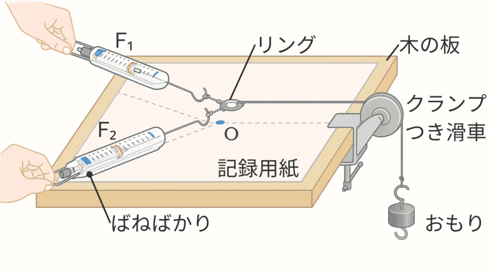 2つのばねばかりでリングを点Oまで引き、ばねばかりの値（F1、F2）と、引く力の向きを記録する