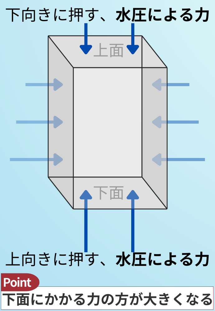 水圧 【上面】下向きに押す、水圧による力 【下面】上向きに押す、水圧による力 point 下面にかかる力の方が大きくなる