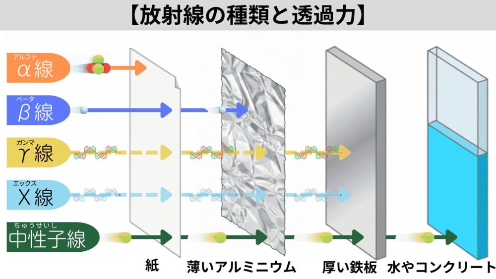 放射線の種類と透過力の関係を下表で整理しましょう。

放射線の種類	透過力の強さ	何で止まるか（さえぎるもの）
α線	極めて弱い	厚紙1枚
β線	弱い	アルミニウムなどの薄い金属板
γ線・X線	強い	鉛（なまり）や厚い鉄板
中性子線	最強	水やコンクリート